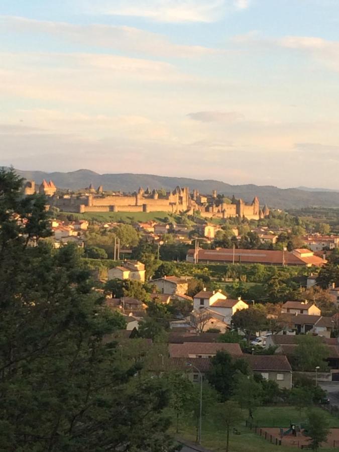 Chambre D'Hote Vue Imprenable Sur Cite - Villa Rose Carcassonne Exteriér fotografie